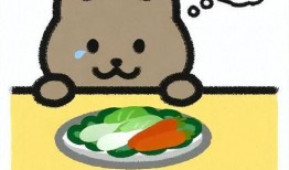 胖猫事件爆料博主视频,揭秘网络爆料的背后真相